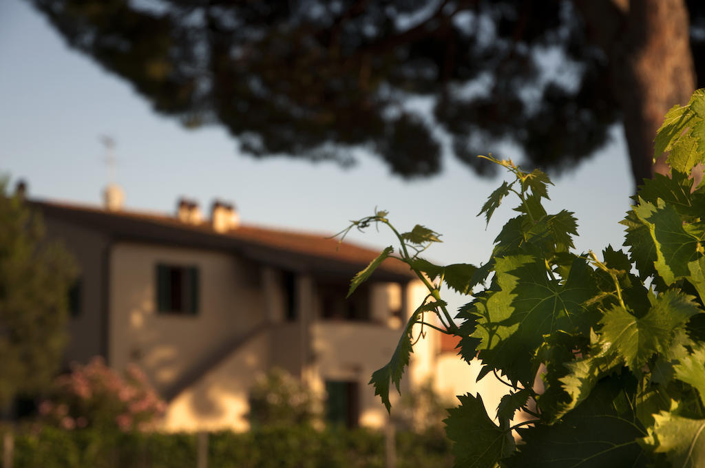 Agriturismo Quattro Pini Castagneto Carducci Extérieur photo