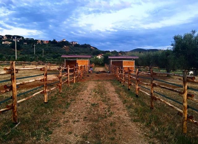 Agriturismo Quattro Pini Castagneto Carducci Extérieur photo